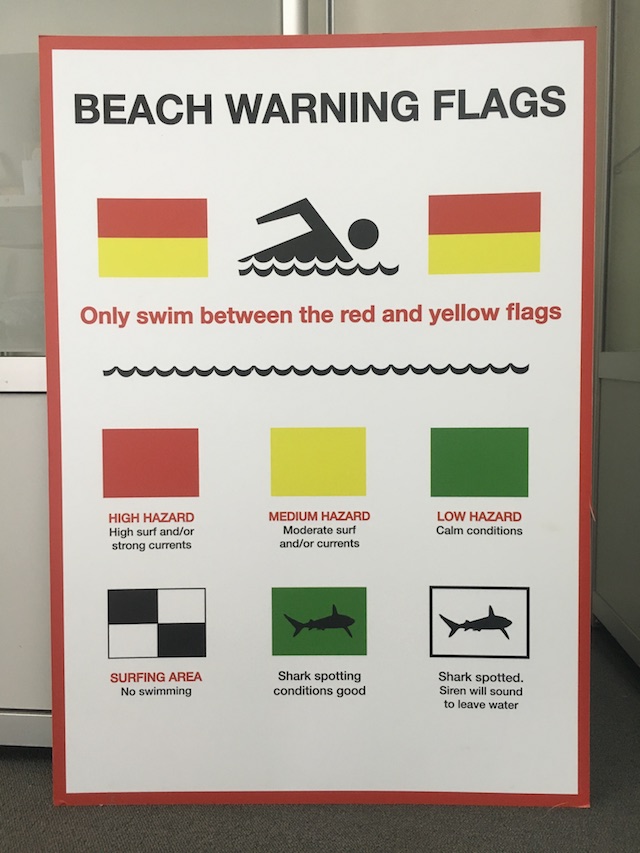 SIGN - Beach Warning Flags PVC 59 x 84cm 